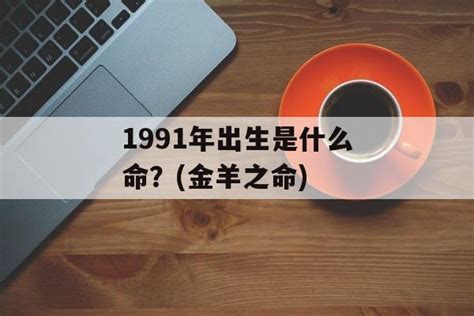 1991年是什么命|1991年出生是什么命